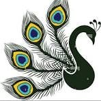Peacock Icon